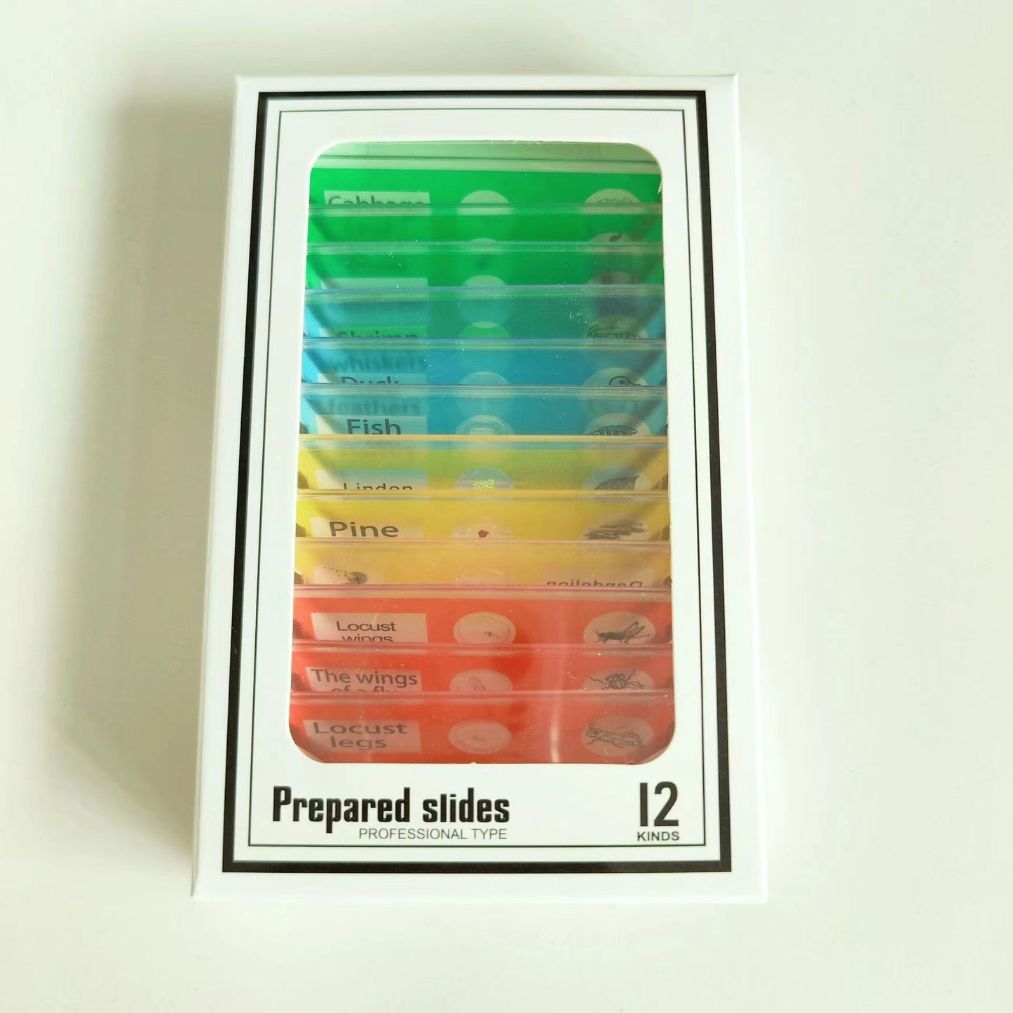 Kids Pocket LED Microscope